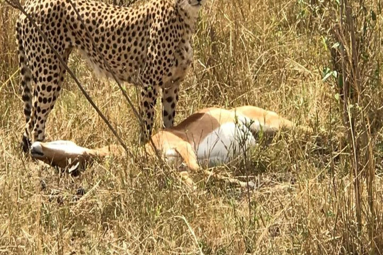 Safari de 4 días por el Parque Nacional de Aberdares y Samburu