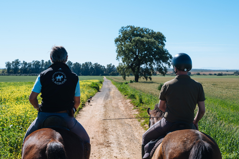Horseback ride around Doñana National Park Horseback riding around Doñana National Park
