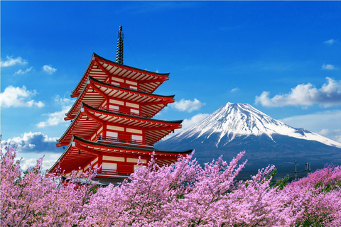 Customizable Mount Fuji Tour with Personal Driver & Lux. Van Personalized Day Trip to Mount Fuji: English Speaking Driver