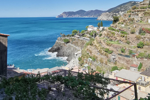 Da Firenze: Tour per piccoli gruppi di un giorno alle Cinque Terre e a Pisa