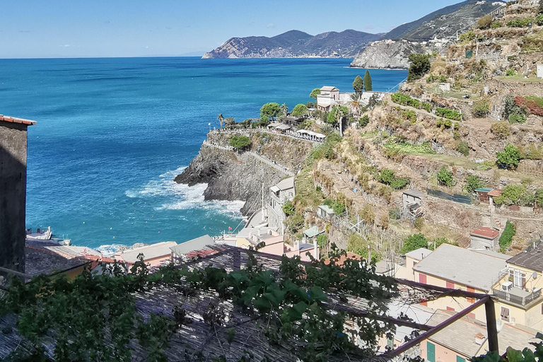 Desde Florencia: Tour en grupo reducido de un día a Cinque Terre y Pisa