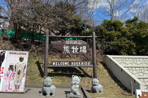 Hokkaido Winter: Toya Lake & Kimobetsu Snowmobile Day Trip