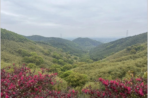 shanghai: Dongming Bamboo & Farm Picking Private Day Trip