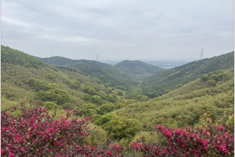 shanghai: Dongming Bamboo & Farm Picking Private Day Trip