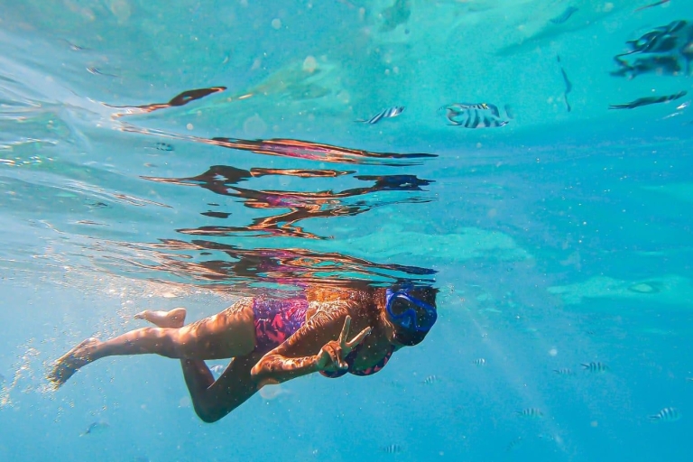 Blue Bay à l'Île aux Aigrettes : Excursion exclusive de plongée en apnée
