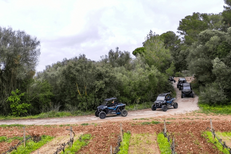 Palma de Mallorca: Buggy-Tour mit 2- oder 4-Sitzer4-Sitzer-Buggy