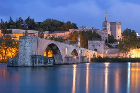 Avignon: Picknick voor fijnproevers met uitzicht op de Pont d&#039;Avignon