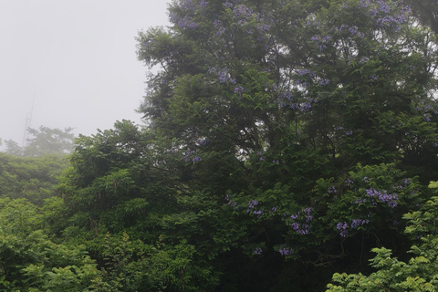 From Bengaluru: Devarayana Durga Guided Day Trip