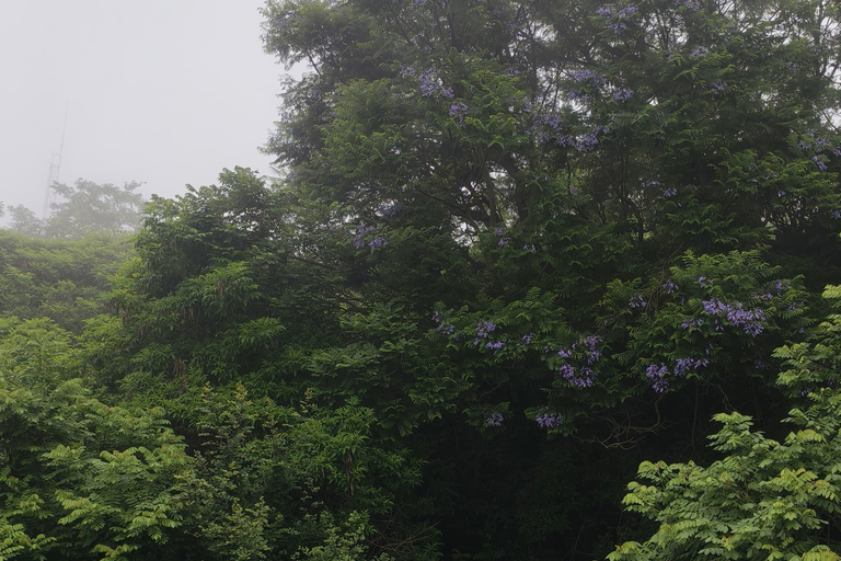 From Bengaluru: Devarayana Durga Guided Day Trip