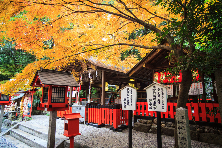 Osaka/Kyoto: Nara, Arashiyama, Fushimi Inari Taisha Day Tour Kyoto & Nara Day Tour | 8:00 AM from Osaka