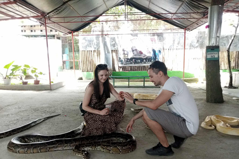 From Cebu: Bohol Countryside Tour Day Trip with Buffet Lunch