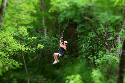 2026年シナロア州のジャングル ツアーベストツアー - 無料キャンセル
