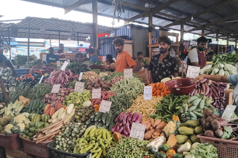 Walk Through Colombo’s History and Culture