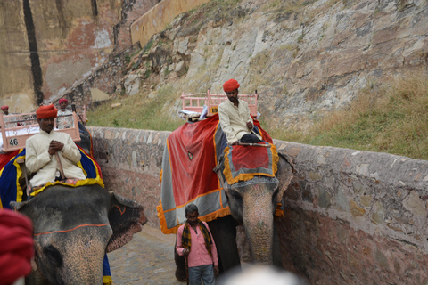 Jaipur: Amber Fort, Stadtpalast und Hawa Mahal Tagestour