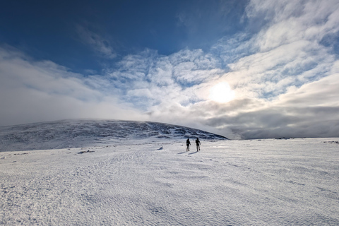 Cairngorms: aventura guiada de senderismo invernal