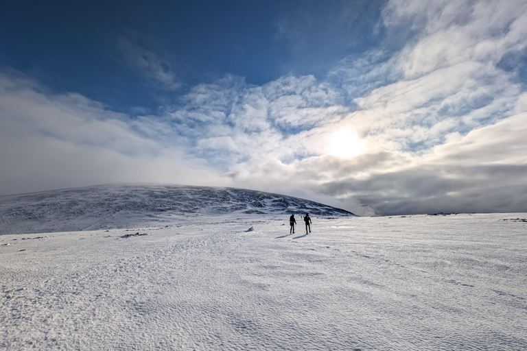 Cairngorms: aventura guiada de senderismo invernal
