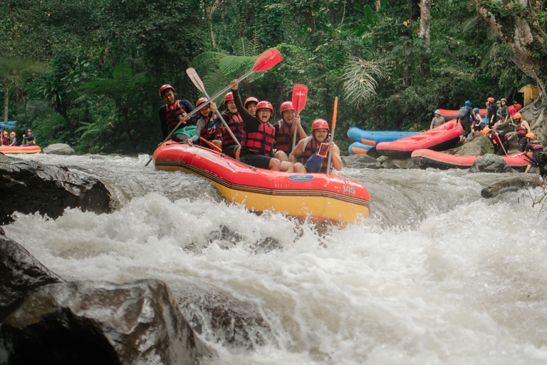 Ubud: Avventura di rafting sul fiume Ayung con pranzo e trasportoRafting con trasferimento di andata e ritorno