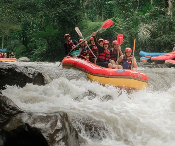 Ubud: Ayung River Rafting Adventure with Lunch and Transport