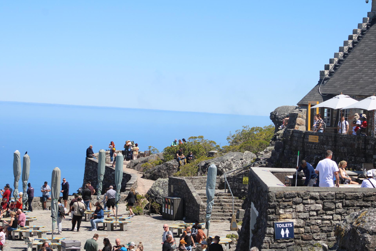 Cape Town: Table Mountain, Bo-Kaap, & Boulders Beach Tour