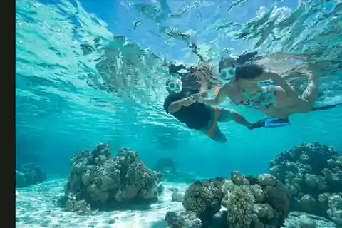Bora Bora: Snorkeling and Fishing Tour with Lunch Option