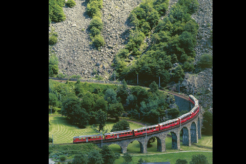 3 Privately Guided Swiss Travel Pass Train Tours from Zurich Group of 8 Excluding Train Tickets