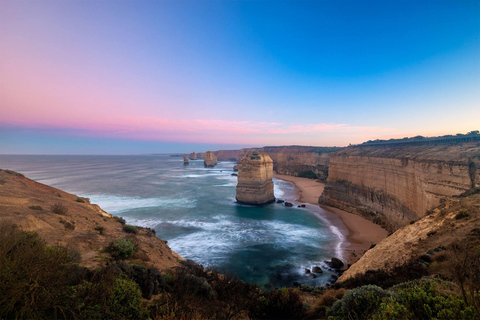 Melbourne: Jednodniowa wycieczka Great Ocean Road z kangurami i koalami