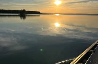 Von Valencia aus: Erlebnis in der Albufera mit Bootsfahrt bei Sonnenuntergang
