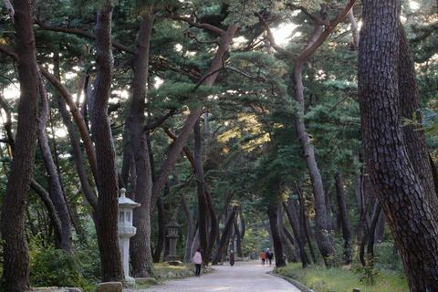 Busan UNESCO Tongdosa & Local Gourmet Small Group Tour