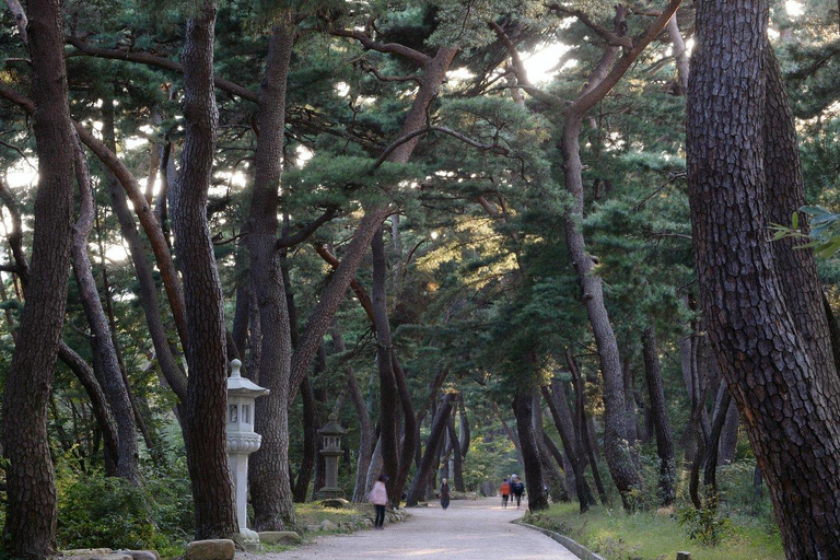 Busan UNESCO Tongdosa & Local Gourmet Small Group Tour