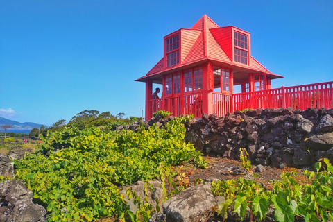 Full Day Wine & Food Tour - Pico Island