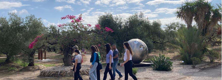 Arte-Contemporary : visite guidée d'art contemporain parmi les oliviers