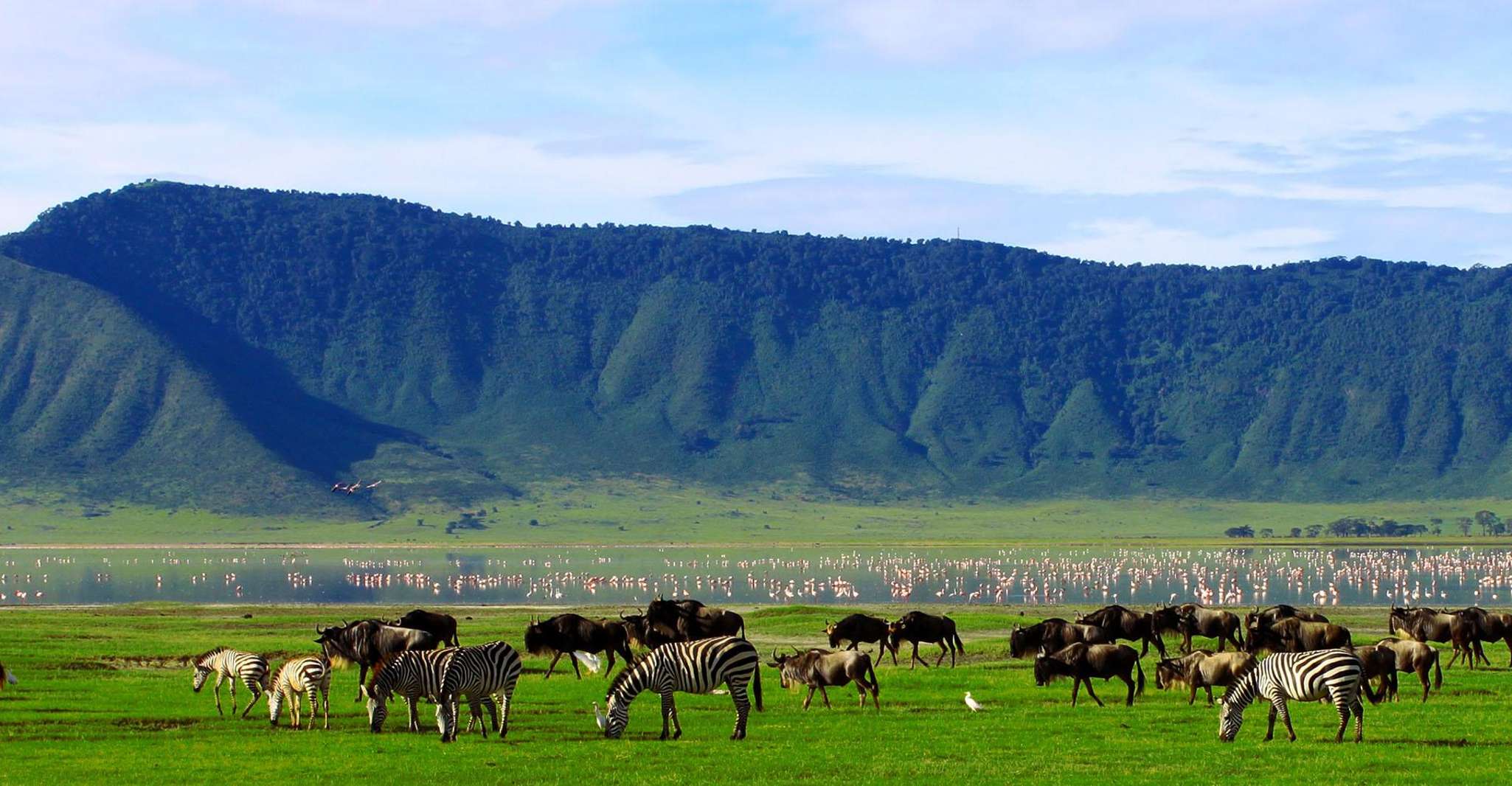 3 días un carrito de cráter Safari Safari Tour - Housity