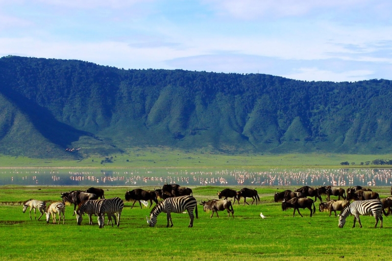 3 Days Tarangire National Park and Ngorongoro Safari Tour