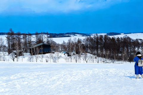 Hokkaido Winter Shikisai no Oka, Blue Pond (Dec.10 - Mar.10) 10:40 am meet at JR Sapporo Station North exit