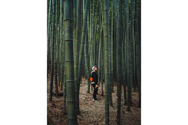 Fototur i liten grupp i östra Busan (max 7 personer)