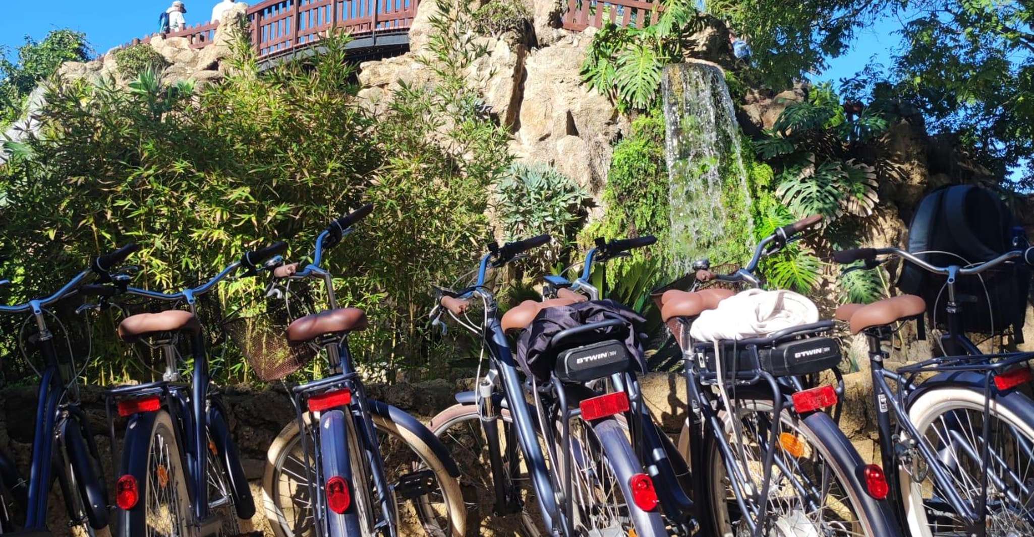Cadiz: City Sightseeing Guided Tour by Bike photo 5