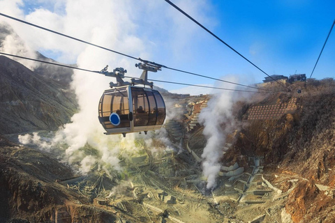 Tokyo: Mt. Fuji & Hakone One-Day Private Customizable Tour