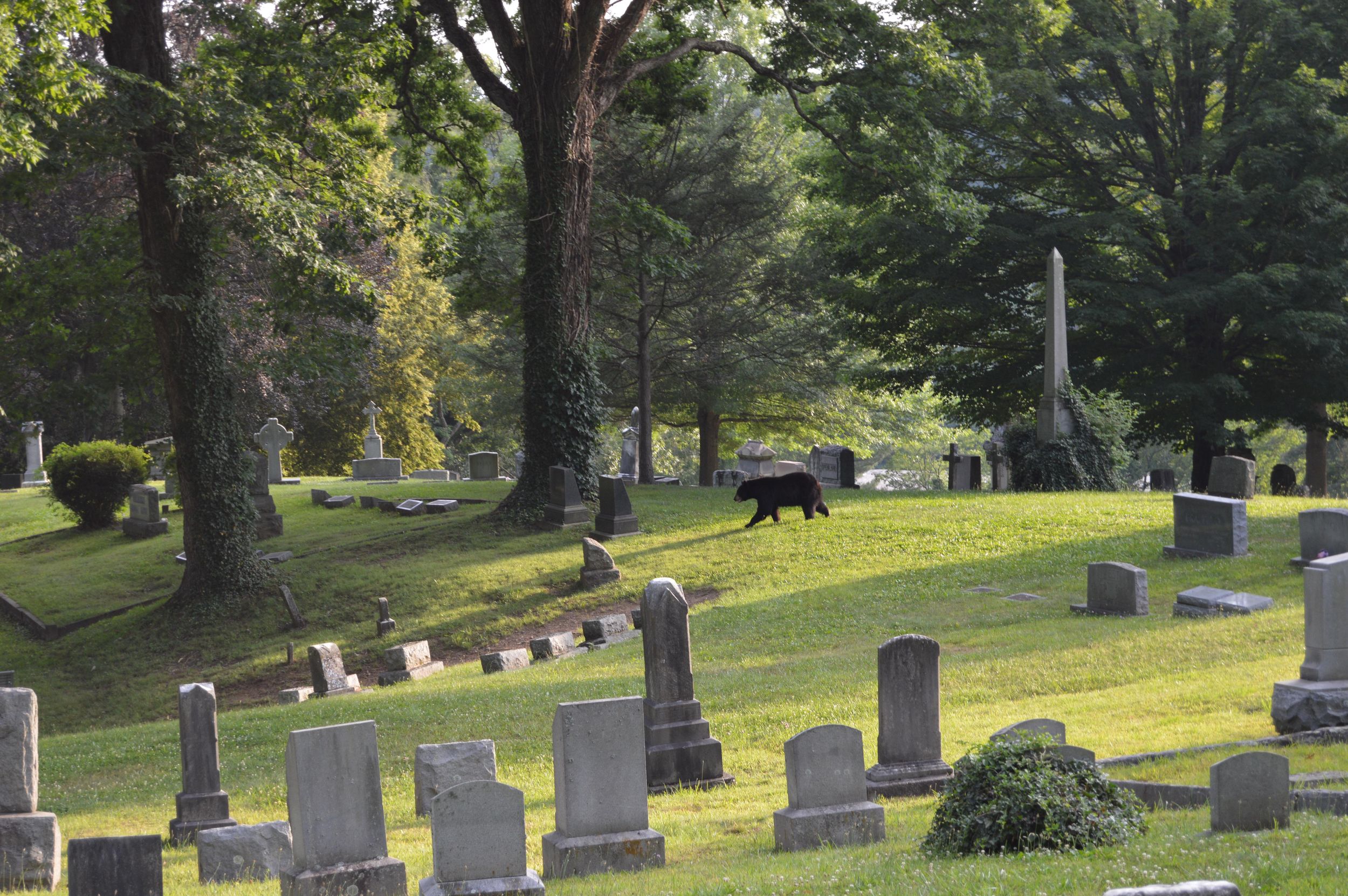 Asheville: Geistertour auf dem Riverside Cemetery