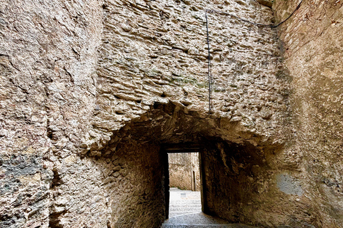 From Madrid: Check out Segovia and have a toast at a family winery From Madrid: Explore Segovia and toast at a family winery