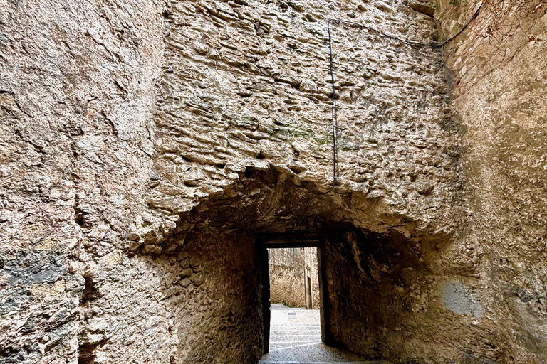 From Madrid: Check out Segovia and have a toast at a family winery From Madrid: Explore Segovia and toast at a family winery