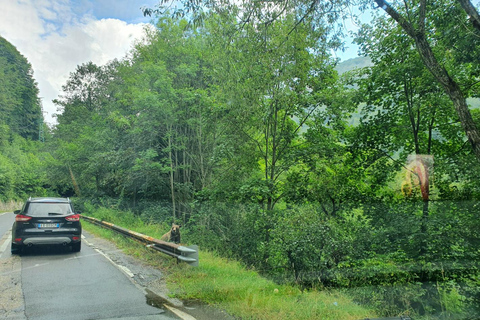 Desde Bucarest: excursión privada de un día a la autopista Transfagarasan