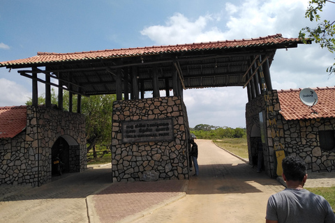 Passeio de safári no Parque Nacional de Yala saindo de Colombo / Galle