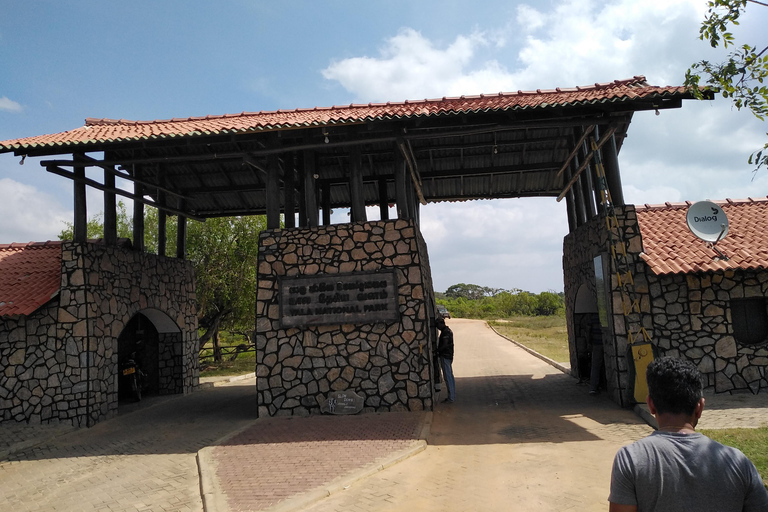 Safari dans le parc national de Yala depuis Colombo / Galle