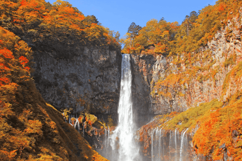 From Tokyo: Nikko World Heritage Private Tour with Guide Nikko World Heritage Full Day share Van tour