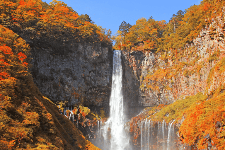 From Tokyo: Nikko World Heritage Private Tour with Guide Nikko World Heritage Full Day share Van tour