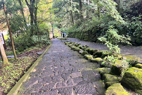 From Tokyo: Nikko World Heritage Sight Full Day Private Tour