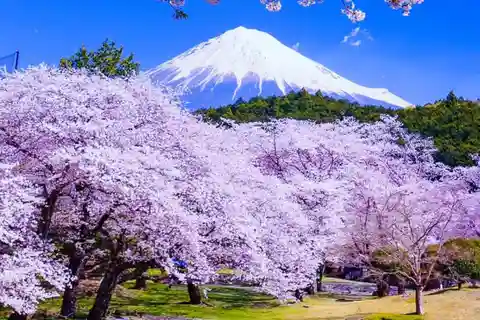 Tokyo: Mt.Fuji and Hakone Private Customizable Day Tour