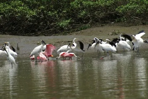 Costa Rica: Private Cruise, Wildlife Safari & Cultural Ranch