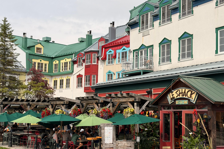 Mont-Tremblant: Private Day Trip with Treetop Walk & Gondola