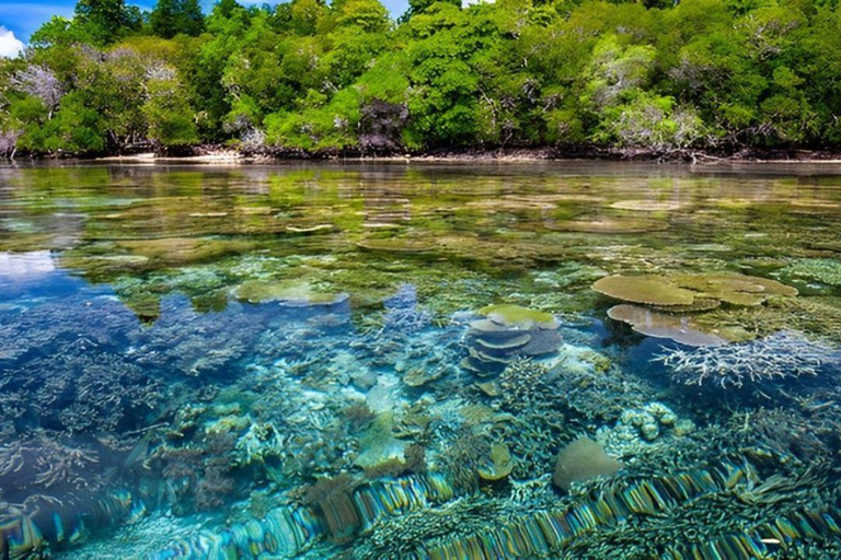 Menjangan Marine Beauty & Rainforest Exploration